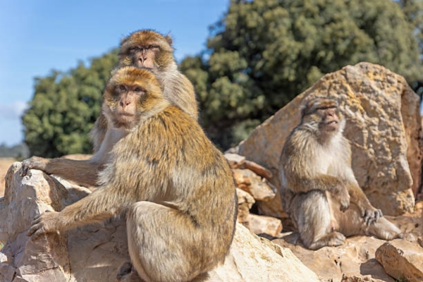 4 Days tour from Fes to Marrakech - Fes to Marrakech Desert tour
