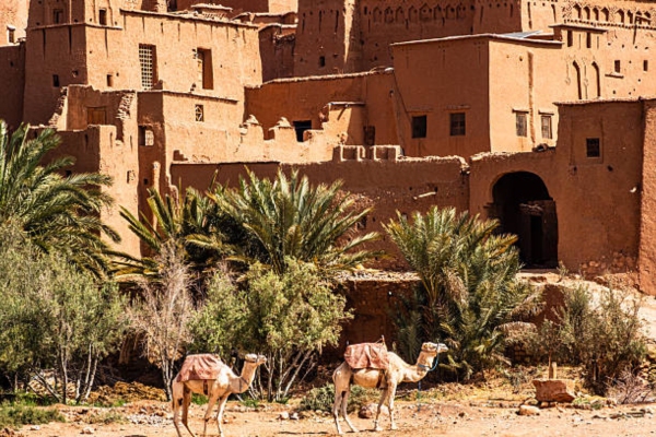 5 Days tour from Fes to Marrakech 5 Day Morocco itinerary Fes