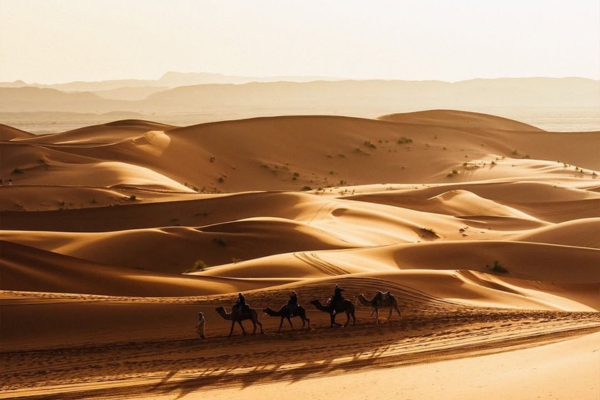 Discover Morocco on a 14 Days Tour from Casablanca. Visit Chefchaouen, Fes, Merzouga Desert, Marrakech, Essaouira, Rabat, and the Sahara.