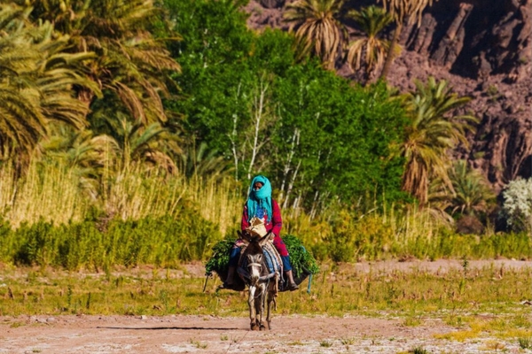 Discover Morocco on our 10 Days Tour from Casablanca. Visit Chefchaouen, Fes, Merzouga Desert, Todra Gorge, Ait Ben Haddou, Marrakech.