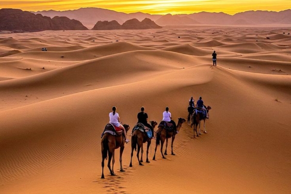 Discover the best 9 Days Morocco Itinerary. Explore Chefchaouen, Fes, Merzouga Desert, Ait Ben Haddou, Dades Valley, and Marrakech.