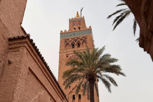 Explore Morocco on our 8 Days Tour from Casablanca. Visit Chefchaouen, Fes, Merzouga Desert, Todra Gorge, Ait Ben Haddou, Marrakech, Mountain
