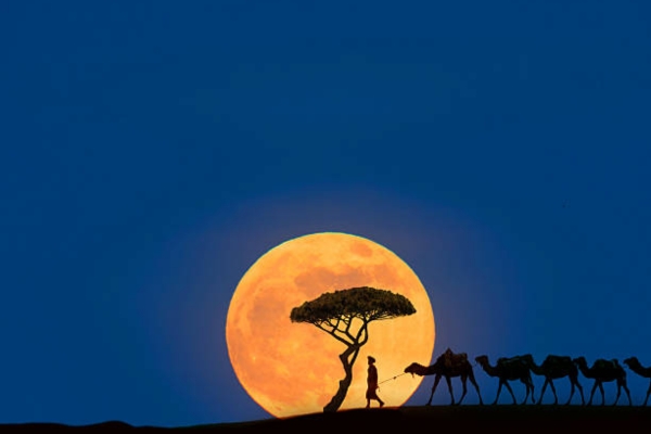 Fes to Merzouga Desert tour 4 Days - 4 Days tour Fes to Merzouga