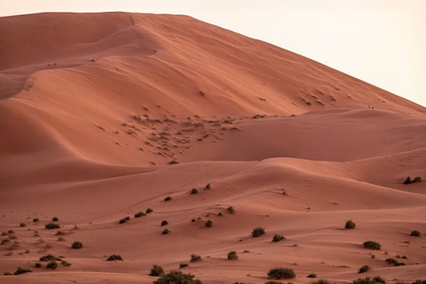 Fes to Sahara Desert tour 3 days - 3 Days Fes Desert tour