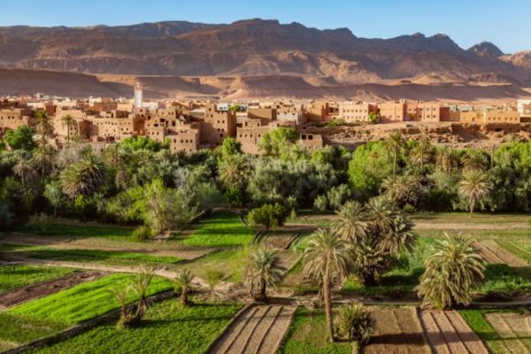 Marrakech to Fes Desert tour 4 days - 4 Days Morocco Desert Tour