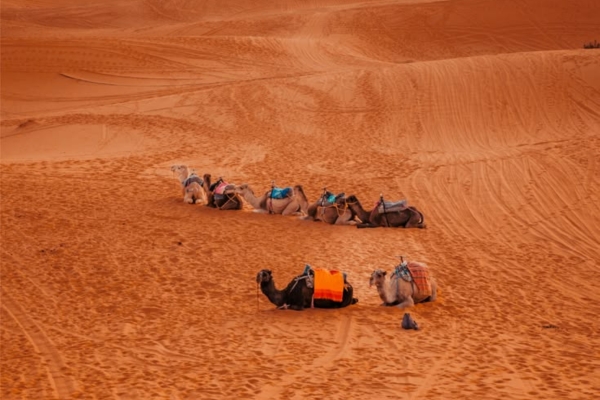 4 Days Desert tour from Errachidia to Marrakech Merzouga Tours