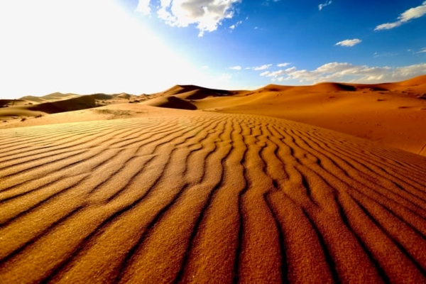Ouarzazate to Merzouga Desert Tour 2 days Sahara Desert Tours